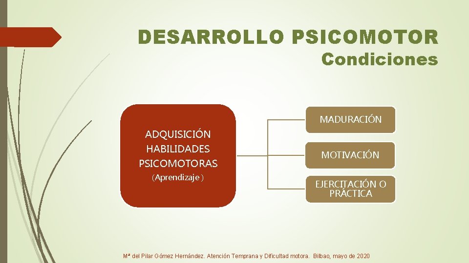 DESARROLLO PSICOMOTOR Condiciones MADURACIÓN ADQUISICIÓN HABILIDADES PSICOMOTORAS (Aprendizaje ) MOTIVACIÓN EJERCITACIÓN O PRÁCTICA Mª