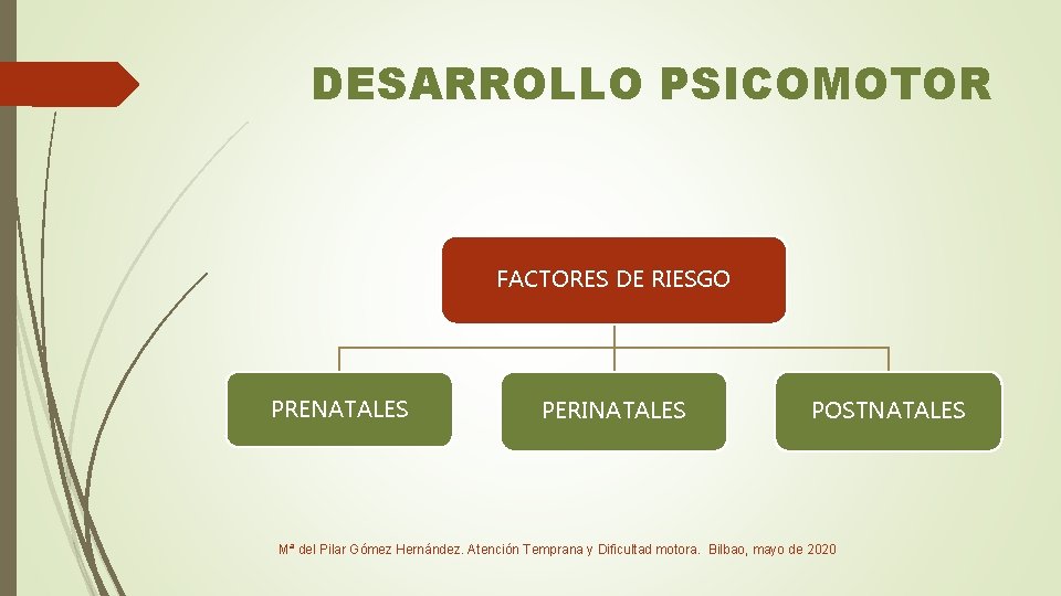 DESARROLLO PSICOMOTOR FACTORES DE RIESGO PRENATALES PERINATALES POSTNATALES Mª del Pilar Gómez Hernández. Atención