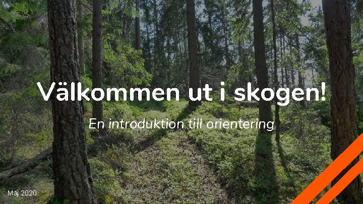 Välkommen ut i skogen! En introduktion till orientering Maj 2020 