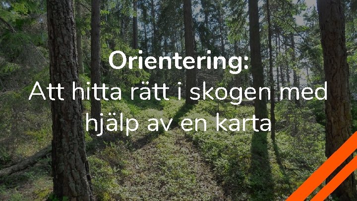 Orientering: Att hitta rätt i skogen med hjälp av en karta 