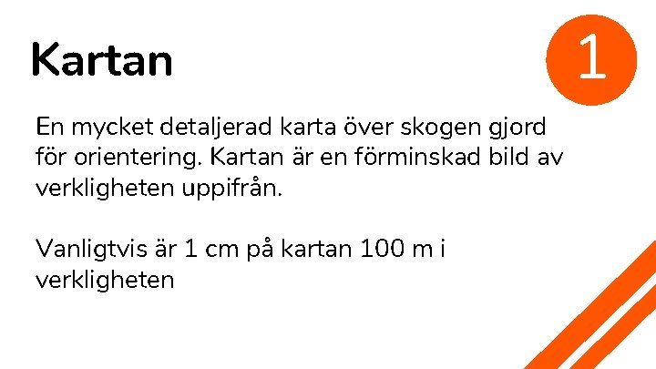 Kartan En mycket detaljerad karta över skogen gjord för orientering. Kartan är en förminskad