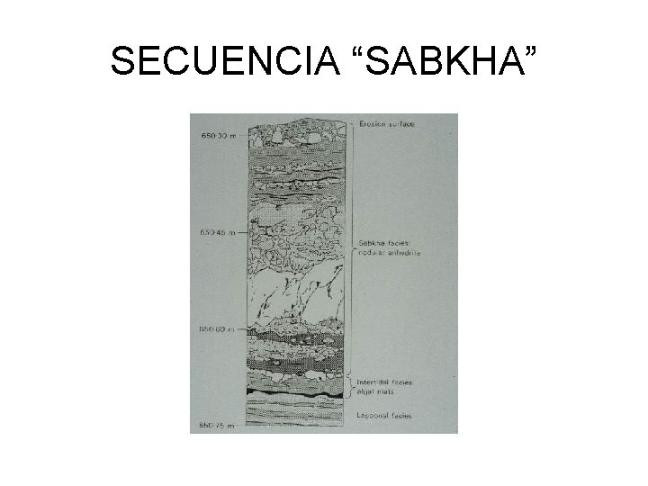 SECUENCIA “SABKHA” 