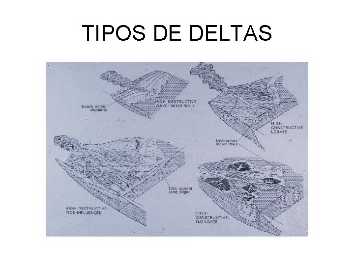 TIPOS DE DELTAS 