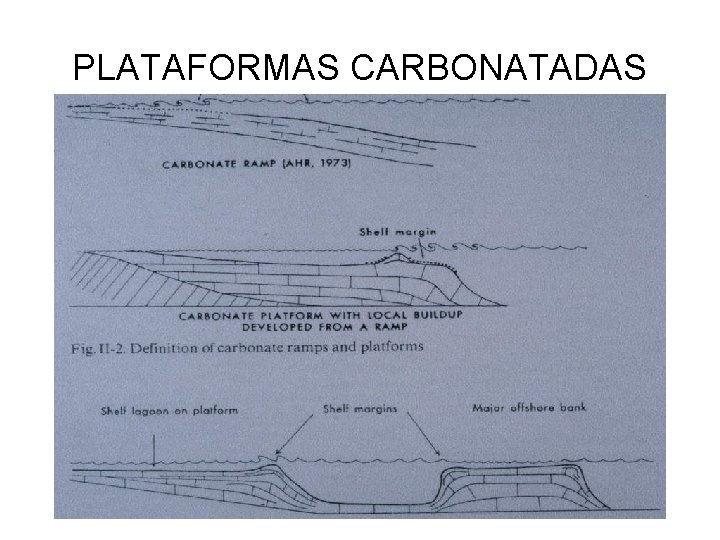 PLATAFORMAS CARBONATADAS 