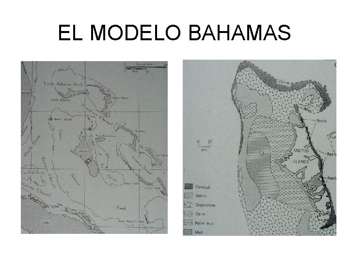 EL MODELO BAHAMAS 