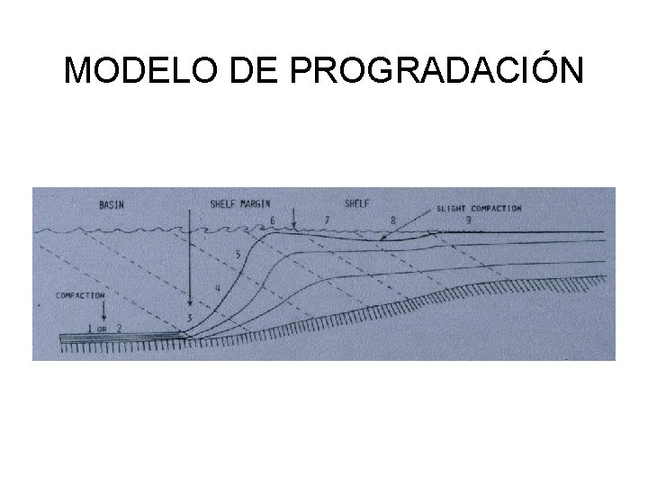 MODELO DE PROGRADACIÓN 