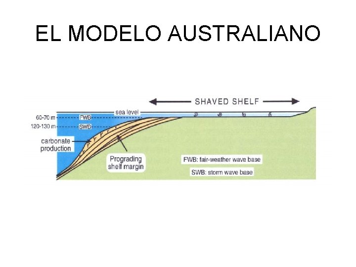 EL MODELO AUSTRALIANO 