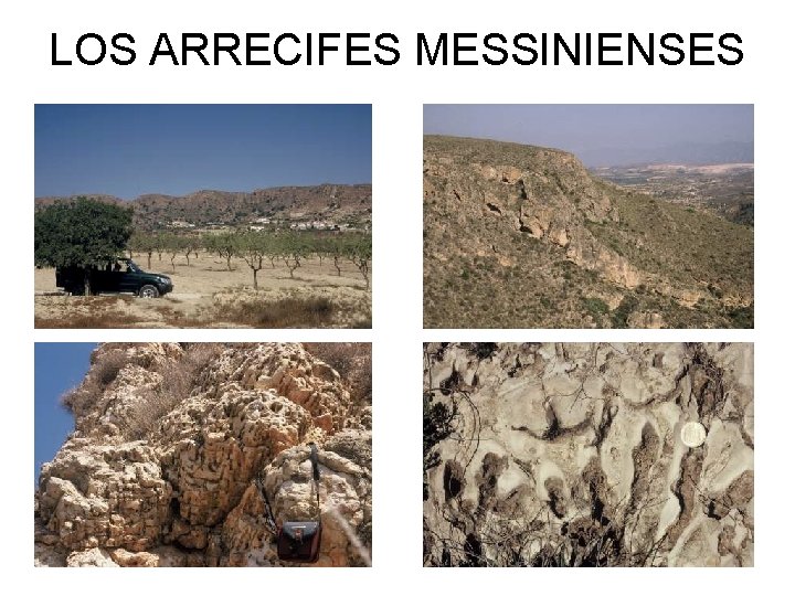 LOS ARRECIFES MESSINIENSES 