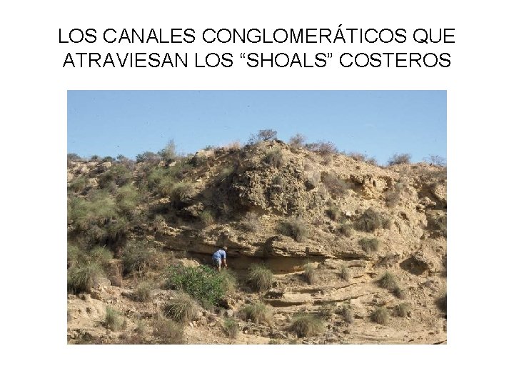 LOS CANALES CONGLOMERÁTICOS QUE ATRAVIESAN LOS “SHOALS” COSTEROS 