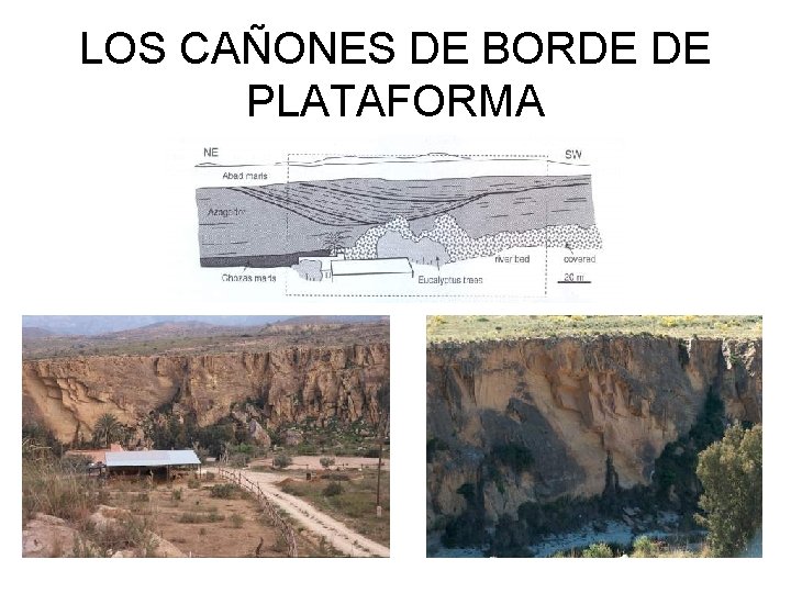 LOS CAÑONES DE BORDE DE PLATAFORMA 