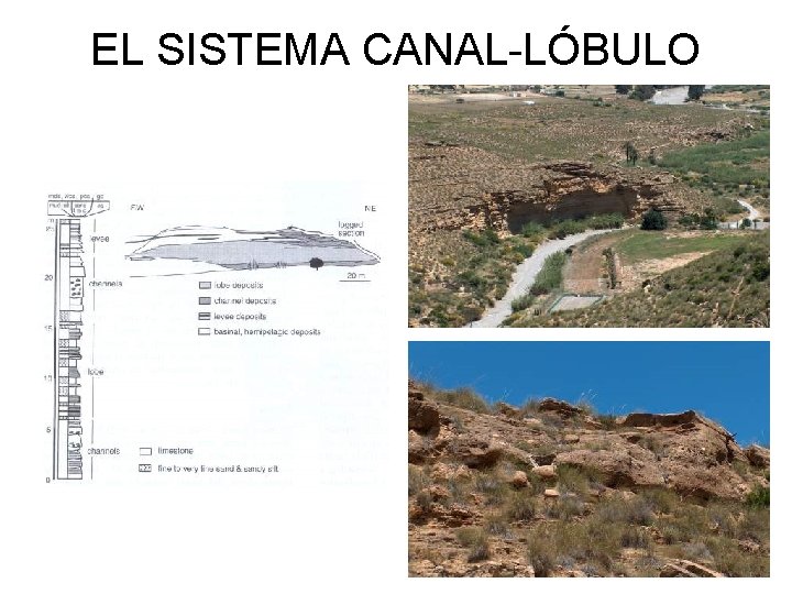 EL SISTEMA CANAL-LÓBULO 