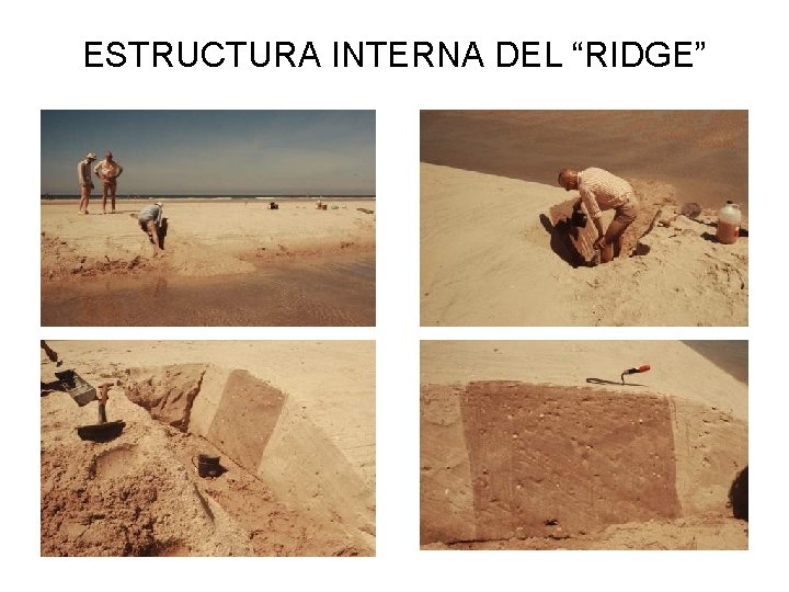 ESTRUCTURA INTERNA DEL “RIDGE” 