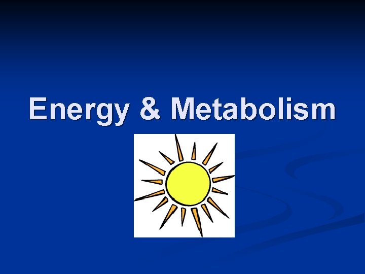 Energy & Metabolism 