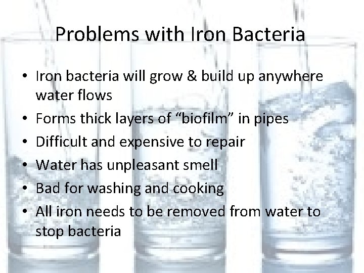 Problems with Iron Bacteria • Iron bacteria will grow & build up anywhere water
