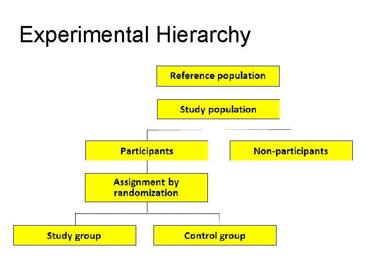 Experimental Hierarchy 