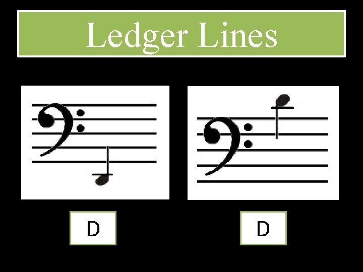 Ledger Lines D D 