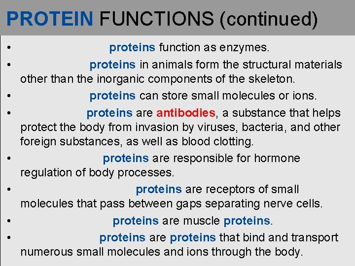 PROTEIN FUNCTIONS (continued) • • proteins function as enzymes. proteins in animals form the