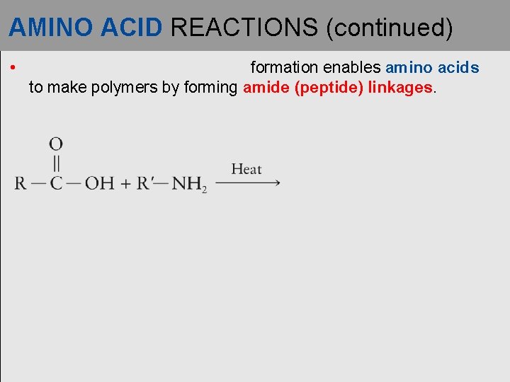 AMINO ACID REACTIONS (continued) • formation enables amino acids to make polymers by forming