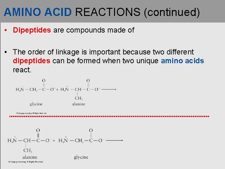 AMINO ACID REACTIONS (continued) • Dipeptides are compounds made of • The order of