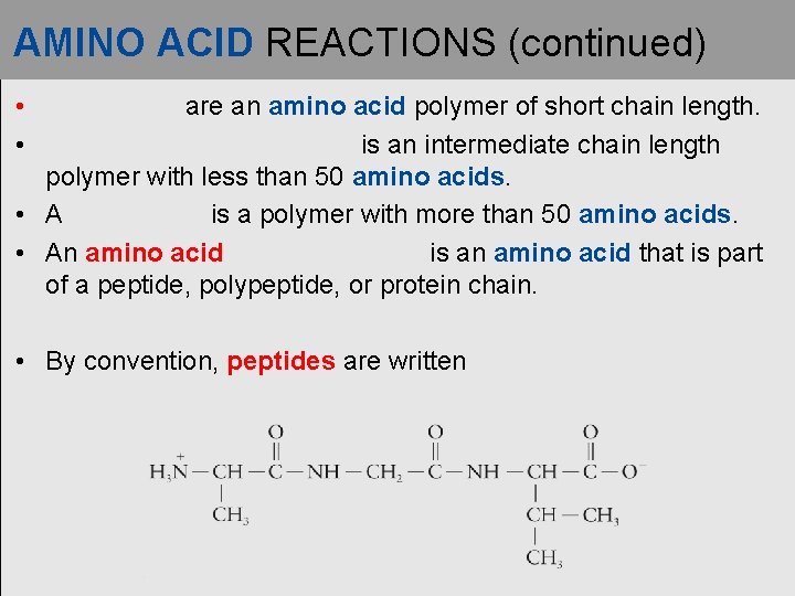 AMINO ACID REACTIONS (continued) • • are an amino acid polymer of short chain