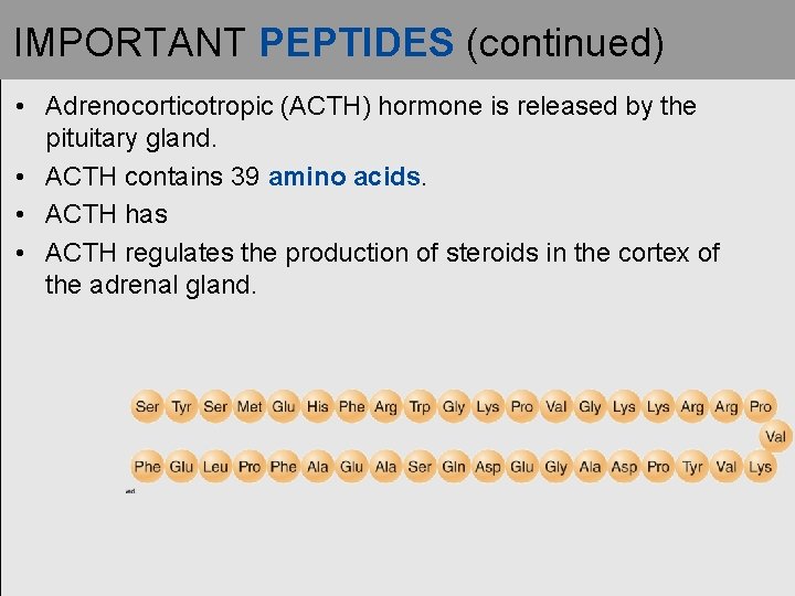 IMPORTANT PEPTIDES (continued) • Adrenocorticotropic (ACTH) hormone is released by the pituitary gland. •
