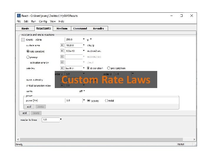 Custom Rate Laws 