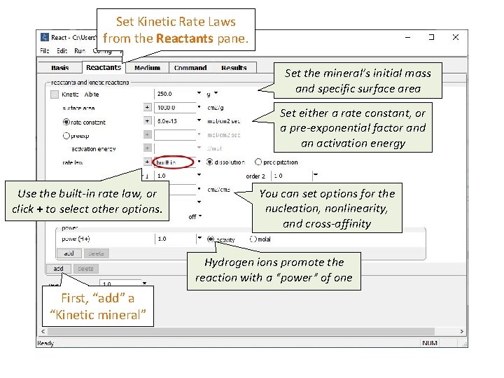 Set Kinetic Rate Laws from the Reactants pane. Set the mineral’s initial mass and