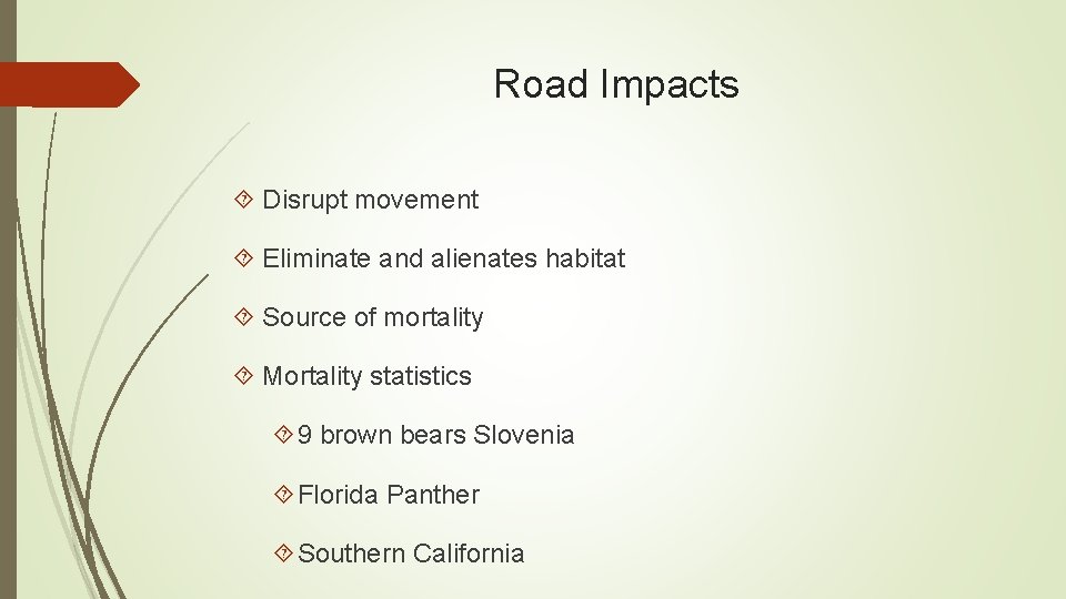 Road Impacts Disrupt movement Eliminate and alienates habitat Source of mortality Mortality statistics 9