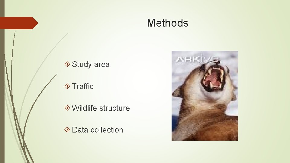 Methods Study area Traffic Wildlife structure Data collection 
