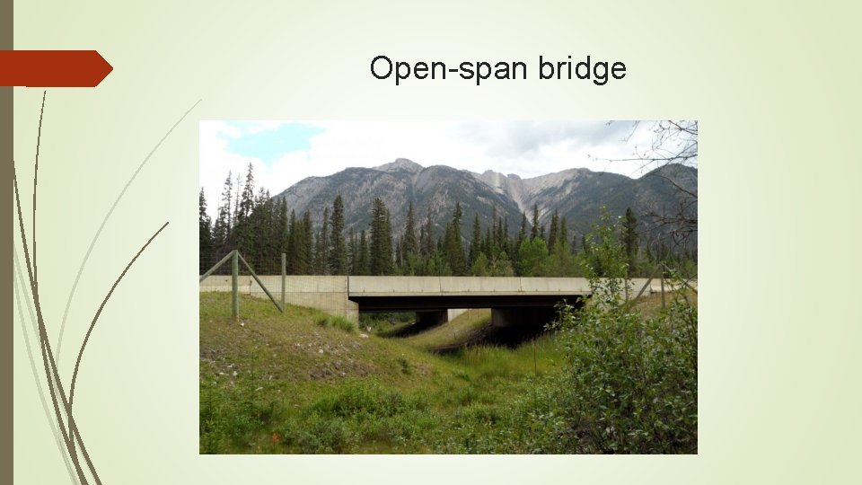Open-span bridge 