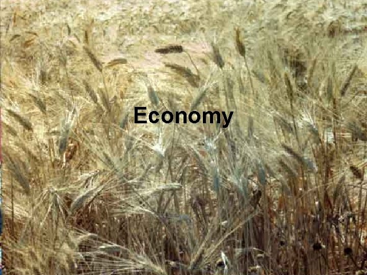 Economy Economy