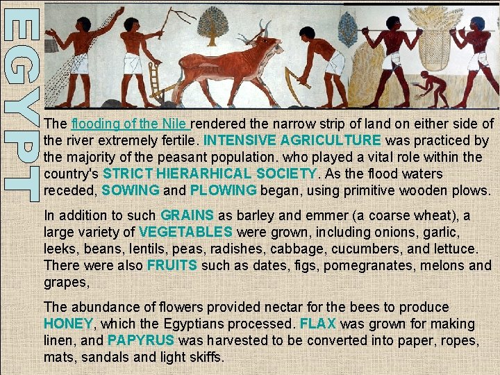 The flooding of the Nile rendered the narrow strip of land on either side The flooding of the Nile rendered the narrow strip of land on either side