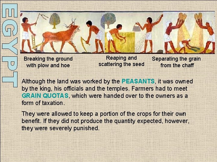 Breaking the ground with plow and hoe Reaping and scattering the seed Separating the Breaking the ground with plow and hoe Reaping and scattering the seed Separating the