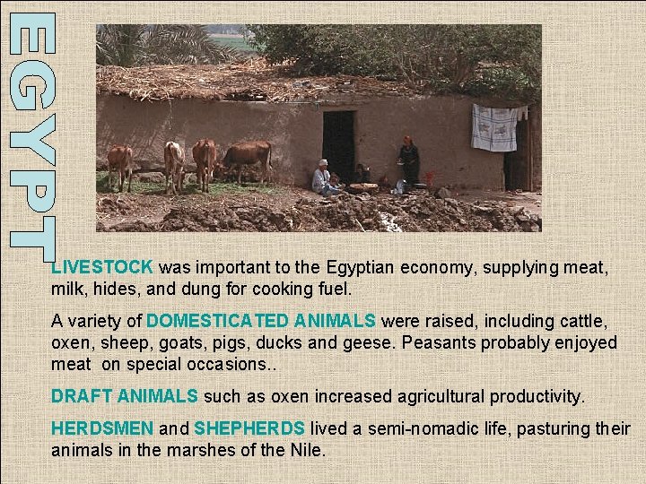 LIVESTOCK was important to the Egyptian economy, supplying meat, milk, hides, and dung for LIVESTOCK was important to the Egyptian economy, supplying meat, milk, hides, and dung for