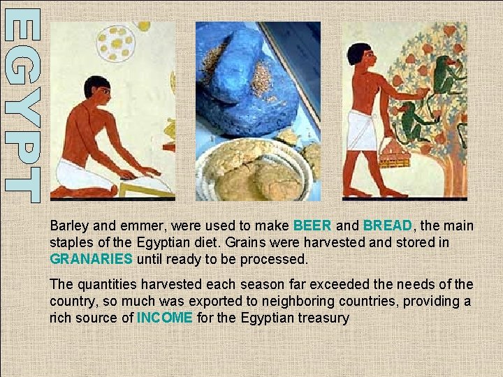 Barley and emmer, were used to make BEER and BREAD, the main staples of Barley and emmer, were used to make BEER and BREAD, the main staples of