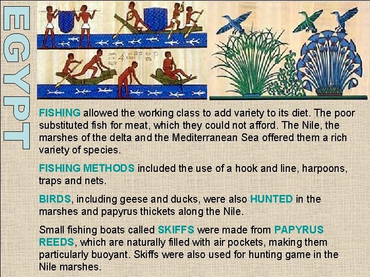 FISHING allowed the working class to add variety to its diet. The poor substituted FISHING allowed the working class to add variety to its diet. The poor substituted