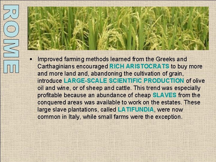 § Improved farming methods learned from the Greeks and Carthaginians encouraged RICH ARISTOCRATS to § Improved farming methods learned from the Greeks and Carthaginians encouraged RICH ARISTOCRATS to