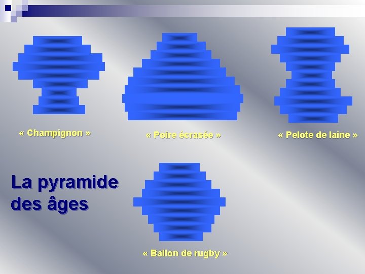  « Champignon » « Poire écrasée » La pyramide des âges « Ballon