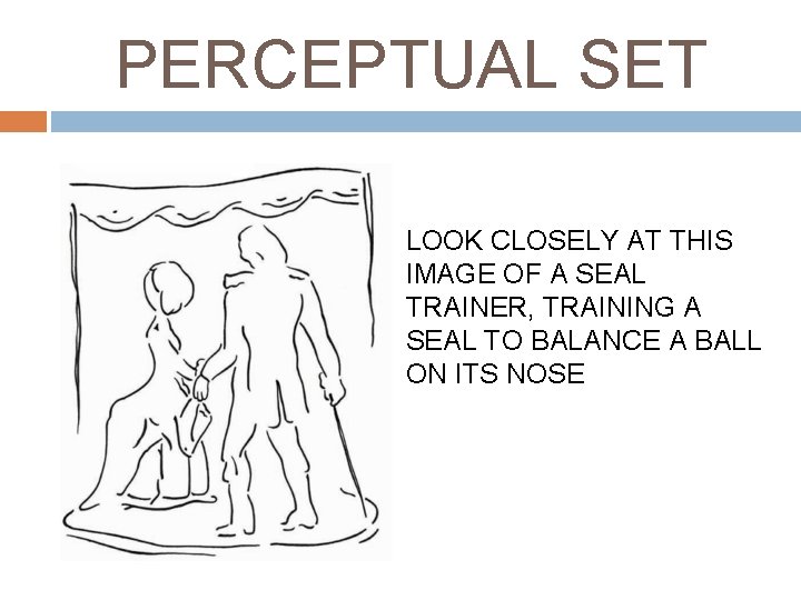 PERCEPTUAL SET LOOK CLOSELY AT THIS IMAGE OF A SEAL TRAINER, TRAINING A SEAL