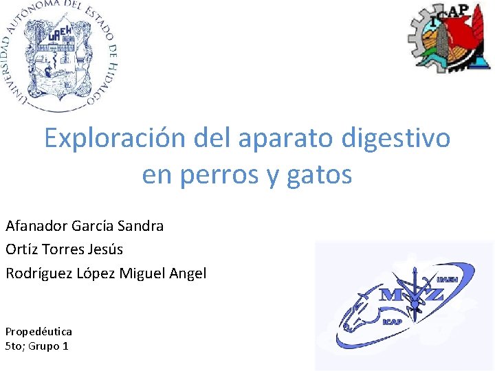 Exploración del aparato digestivo en perros y gatos Afanador García Sandra Ortíz Torres Jesús