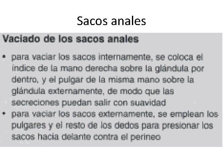 Sacos anales 