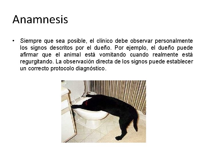 Anamnesis • Siempre que sea posible, el clínico debe observar personalmente los signos descritos