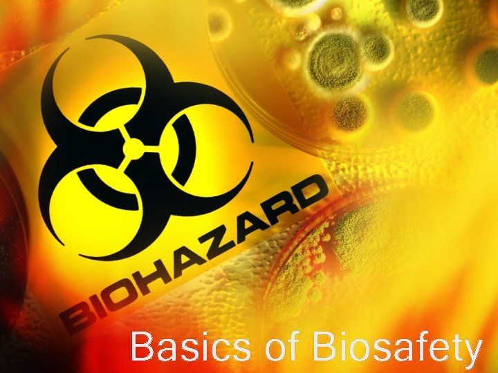 Basics of Biosafety 