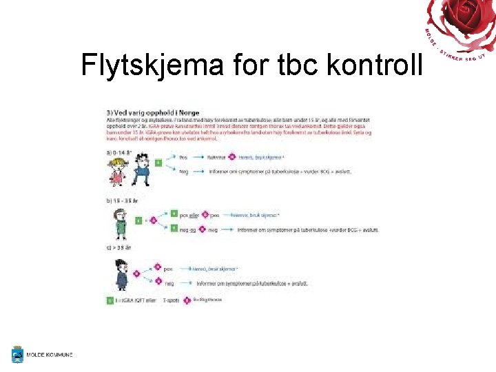 Flytskjema for tbc kontroll 