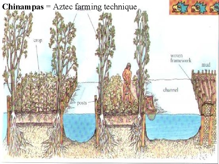 Chinampas = Aztec farming technique 