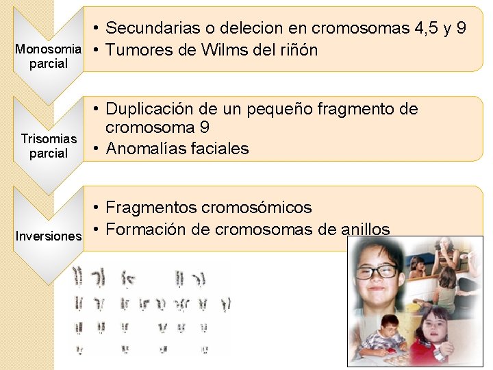 Monosomia parcial Trisomias parcial Inversiones • Secundarias o delecion en cromosomas 4, 5 y