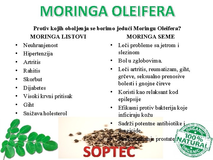 MORINGA OLEIFERA • • • Protiv kojih oboljenja se borimo jedući Moringu Oleifera? MORINGA MORINGA OLEIFERA • • • Protiv kojih oboljenja se borimo jedući Moringu Oleifera? MORINGA