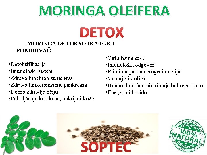 MORINGA OLEIFERA DETOX MORINGA DETOKSIFIKATOR I POBUĐIVAČ • Cirkulacija krvi • Detoksifikacija • Imunološki MORINGA OLEIFERA DETOX MORINGA DETOKSIFIKATOR I POBUĐIVAČ • Cirkulacija krvi • Detoksifikacija • Imunološki