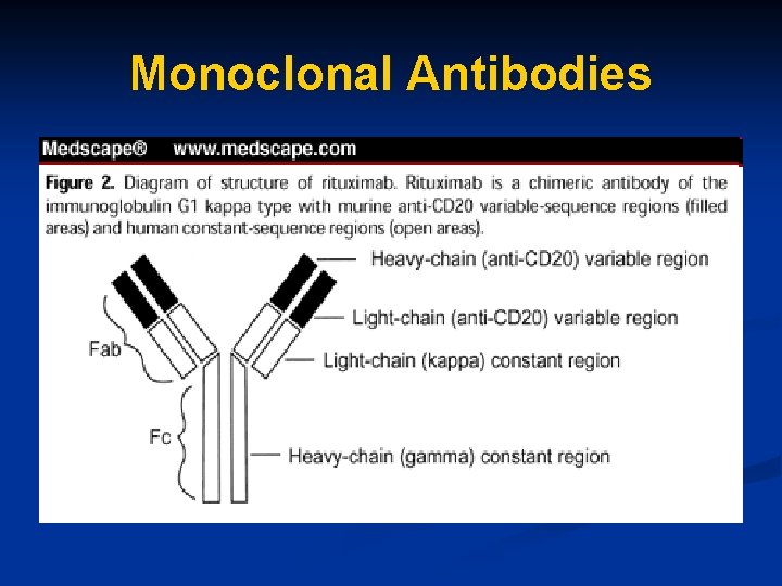 Monoclonal Antibodies 