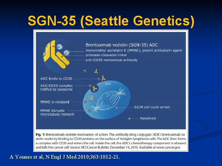 SGN-35 (Seattle Genetics) A Younes et al, N Engl J Med 2010; 363: 1812